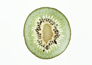 ホストクラブで安く楽しむ方法とは