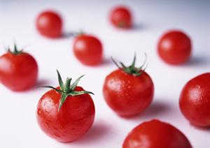 女性に心地よいサービスのホストクラブ